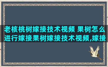 老核桃树嫁接技术视频 果树怎么进行嫁接果树嫁接技术视频,嫁接方法图解